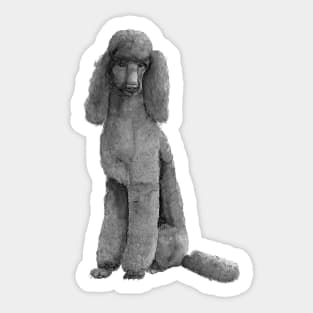 Poodle standard - black Sticker